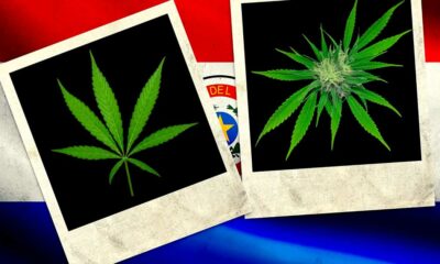 Cannabis no Paraguai