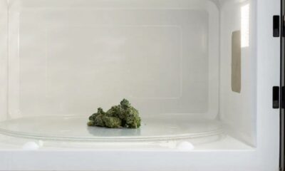 Cannabis no micro-ondas