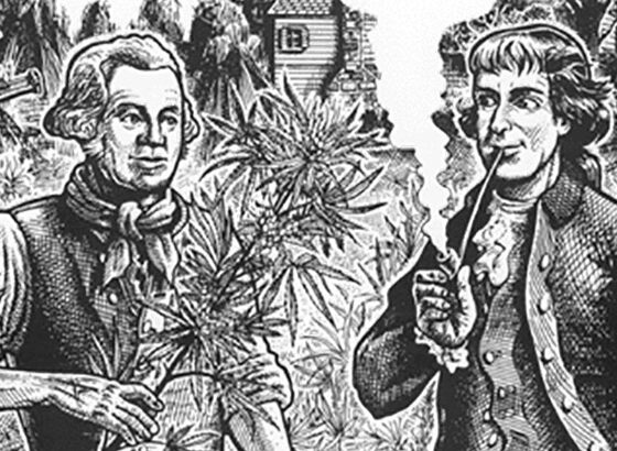 História da canábis