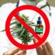 A canábis medicinal parou em França