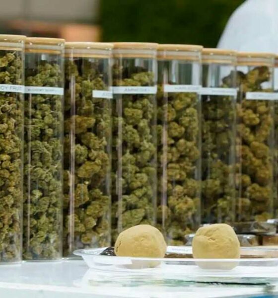 Produtos de THC na República Checa