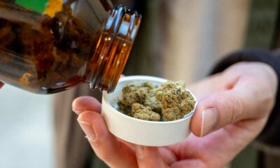 Importação de canábis medicinal para a Alemanha