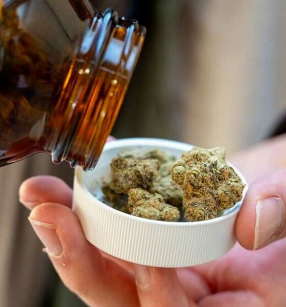 Importação de canábis medicinal para a Alemanha