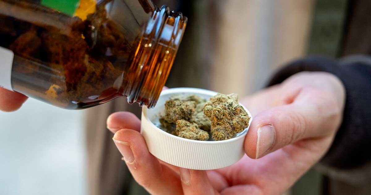 Importação de canábis medicinal para a Alemanha