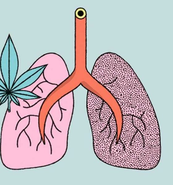 Estudo sobre o efeito da canábis e do tabaco no pulmão