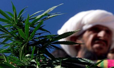 Cânhamo e canábis medicinal no Paquistão