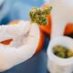 Cannabis nas farmácias na Alemanha