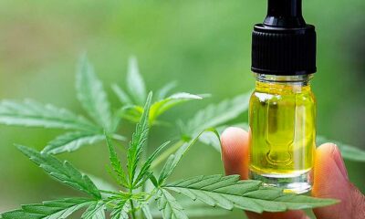 A Bélgica reembolsa o CBD para a epilepsia