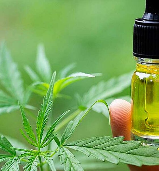A Bélgica reembolsa o CBD para a epilepsia