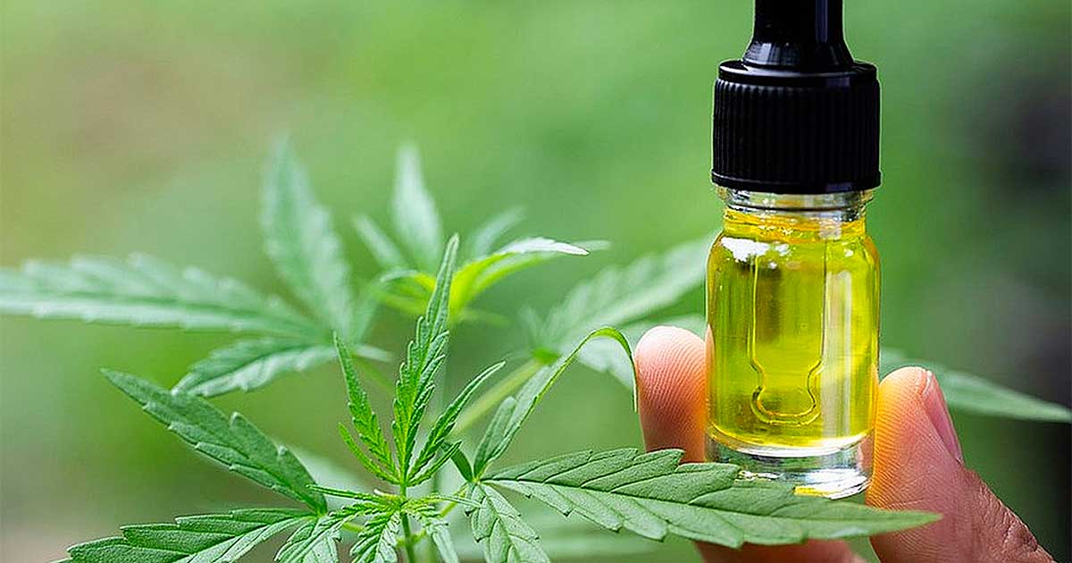 A Bélgica reembolsa o CBD para a epilepsia