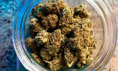 Direito à cannabis para os prisioneiros alemães