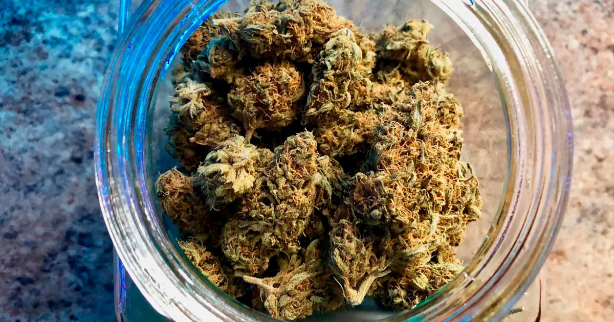 Direito à cannabis para os prisioneiros alemães