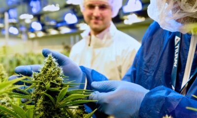 A Tilray fornece canábis medicinal a Itália