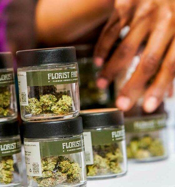 Venda de cannabis em Nova Iorque em 2025