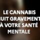 Campanha MILDECA sobre o canábis