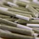 O preço dos pre-rolls nos Estados Unidos está a aumentar