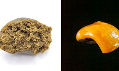 Resina ou colofónia
