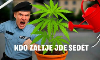 Czexperimento
