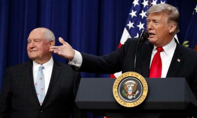 Trump defende o CBD para os idosos
