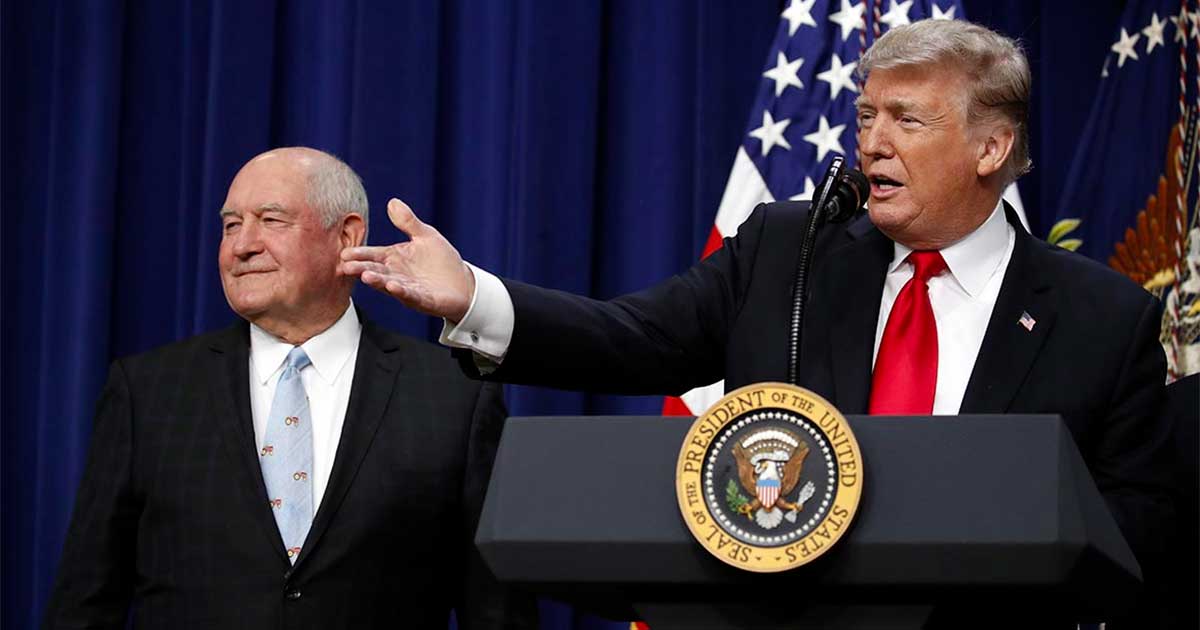 Trump defende o CBD para os idosos