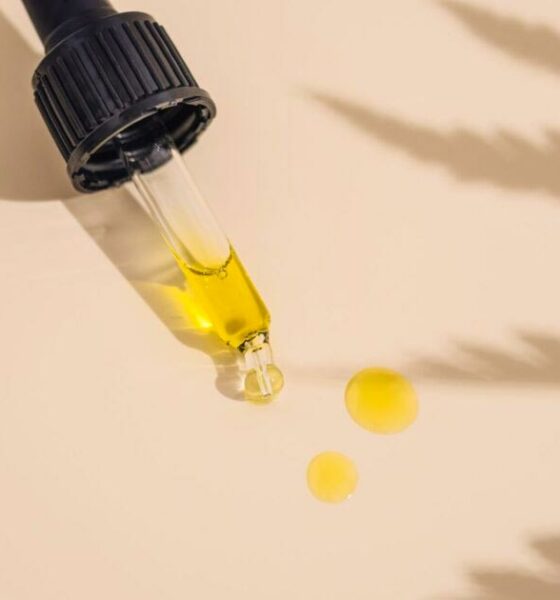 EFSA, Novos Alimentos e CBD
