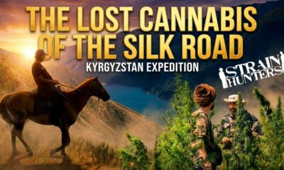 Caçadores de estirpes no Quirguizistão