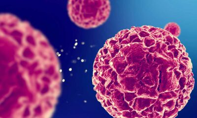 Ação antitumoral do CBD