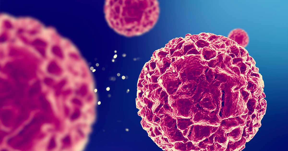 Ação antitumoral do CBD