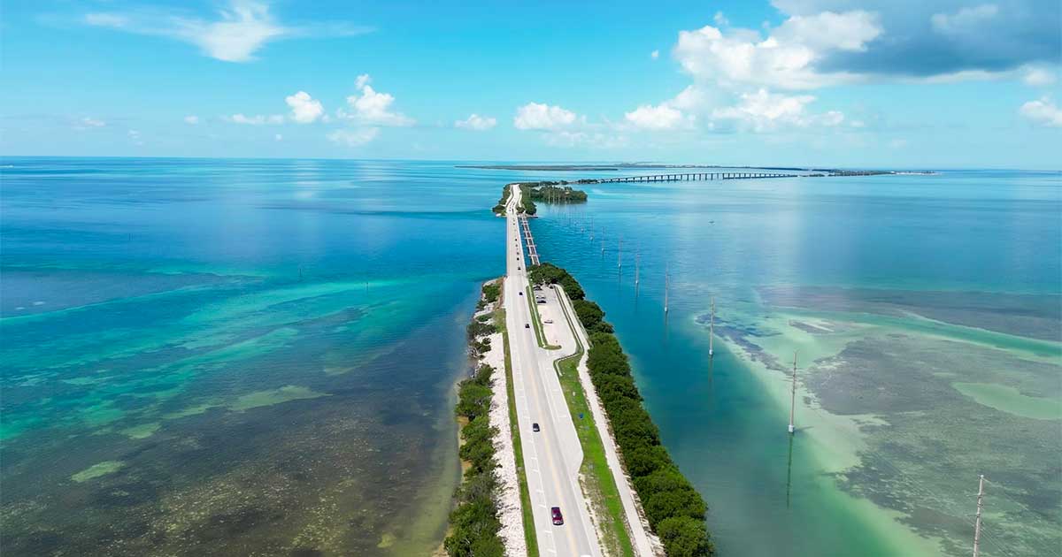 A Flórida e a canábis para adultos