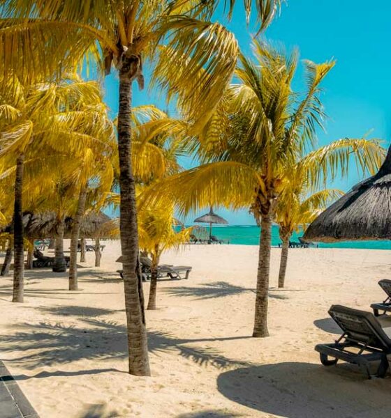 Maurícia considera legalizar a canábis