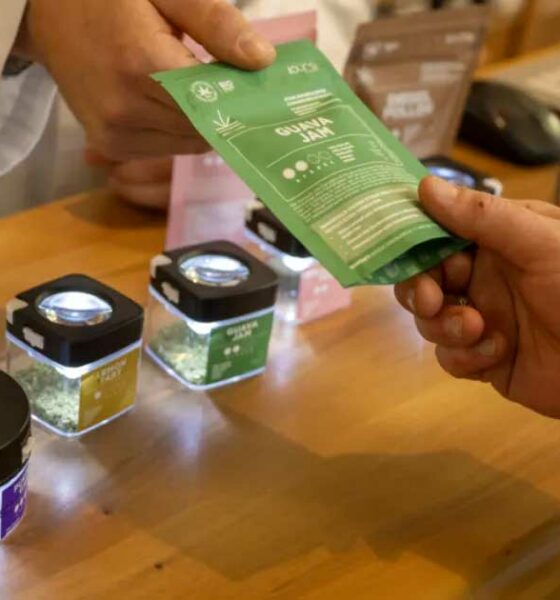 O método suíço para legalizar a canábis