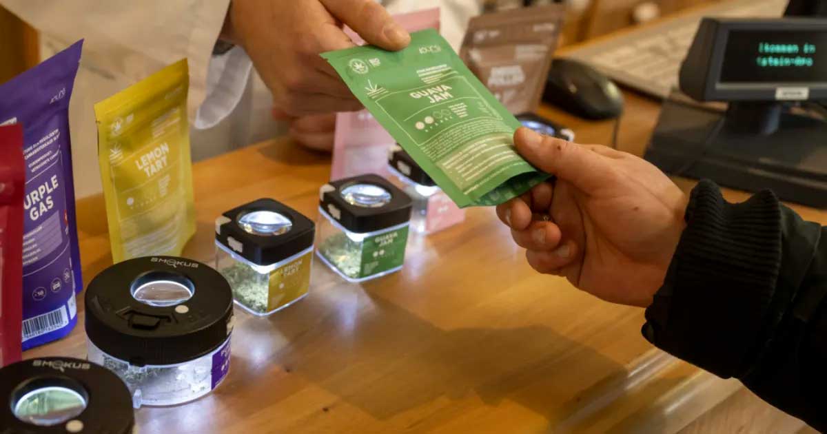 O método suíço para legalizar a canábis