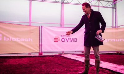 Cânhamo para combater os PFAS em Gand