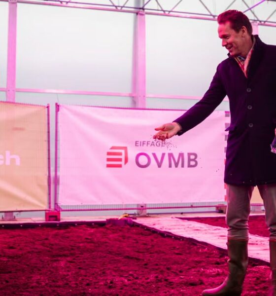 Cânhamo para combater os PFAS em Gand