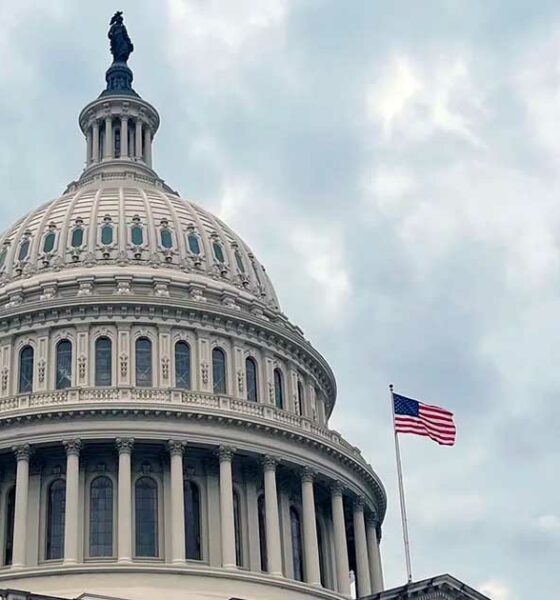 O Congresso dos EUA e a proibição do THC do cânhamo