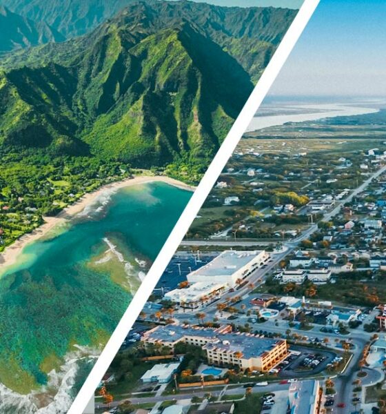 Legalização da canábis na Florida e no Havai