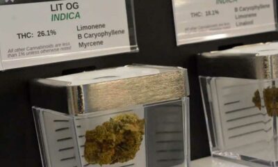 Venda pública de canábis no Minnesota