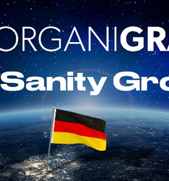 Organigrama e sanidade