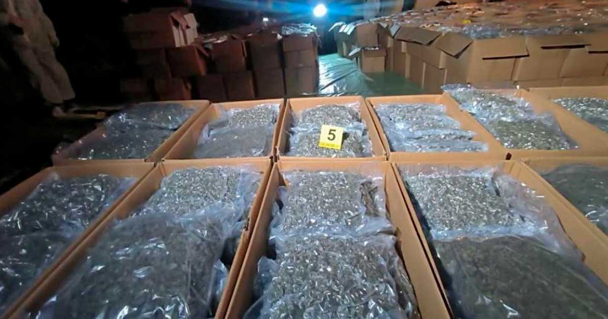 Apreensões de cannabis medicinal na Macedónia do Norte