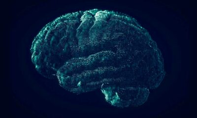 O THC e a doença de Alzheimer