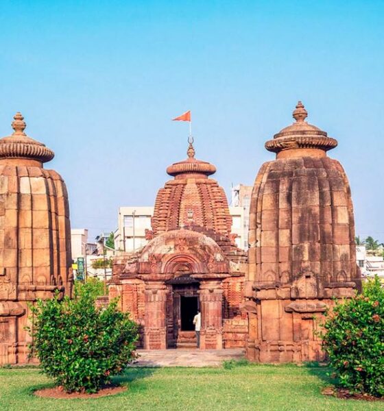 Investigação sobre o canábis na Índia