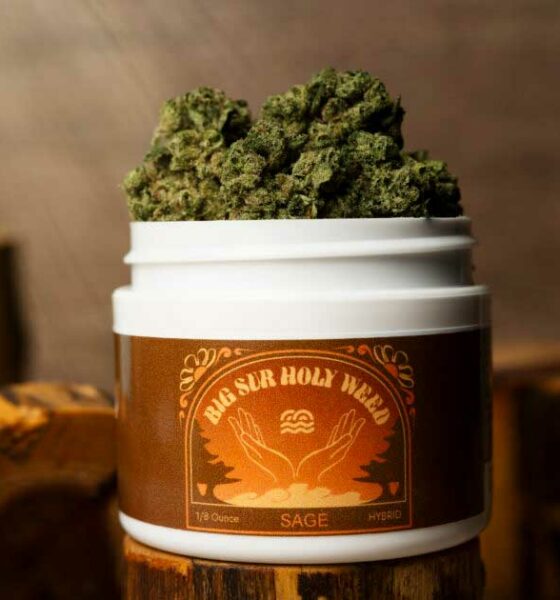 Erva Santa de Big Sur