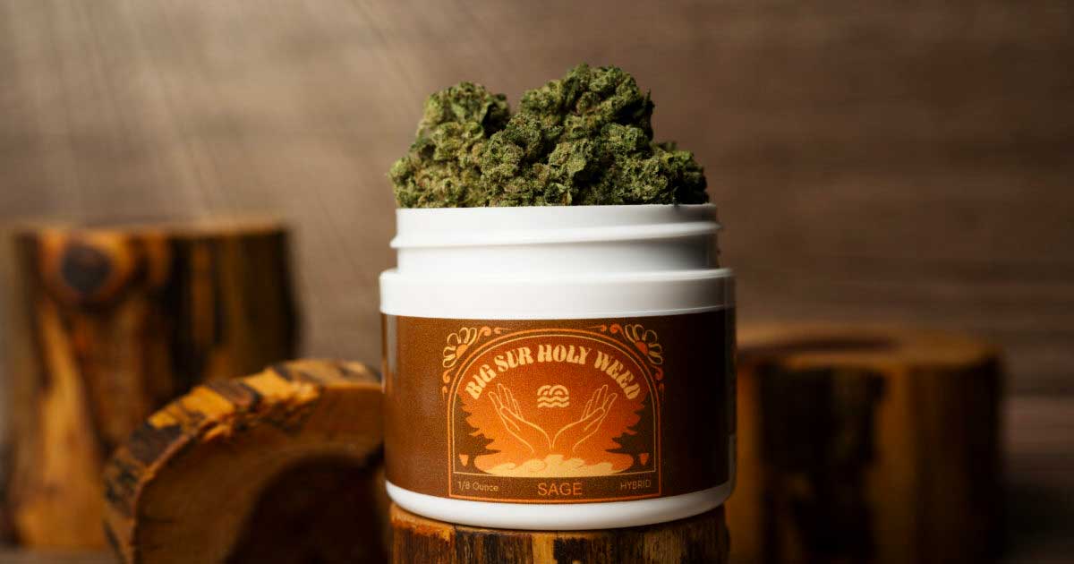 Erva Santa de Big Sur