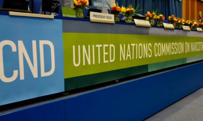 O painel da CND na ONU