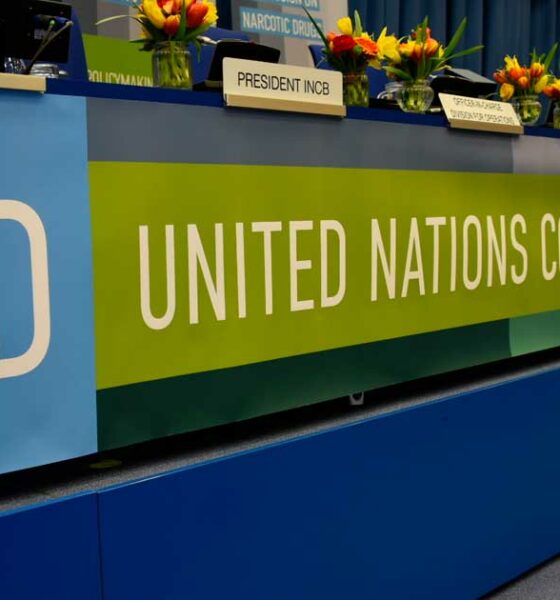 O painel da CND na ONU