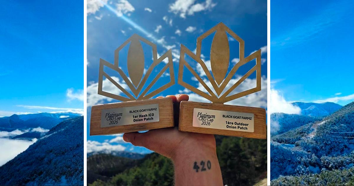 GaléCaçador de tartarugas