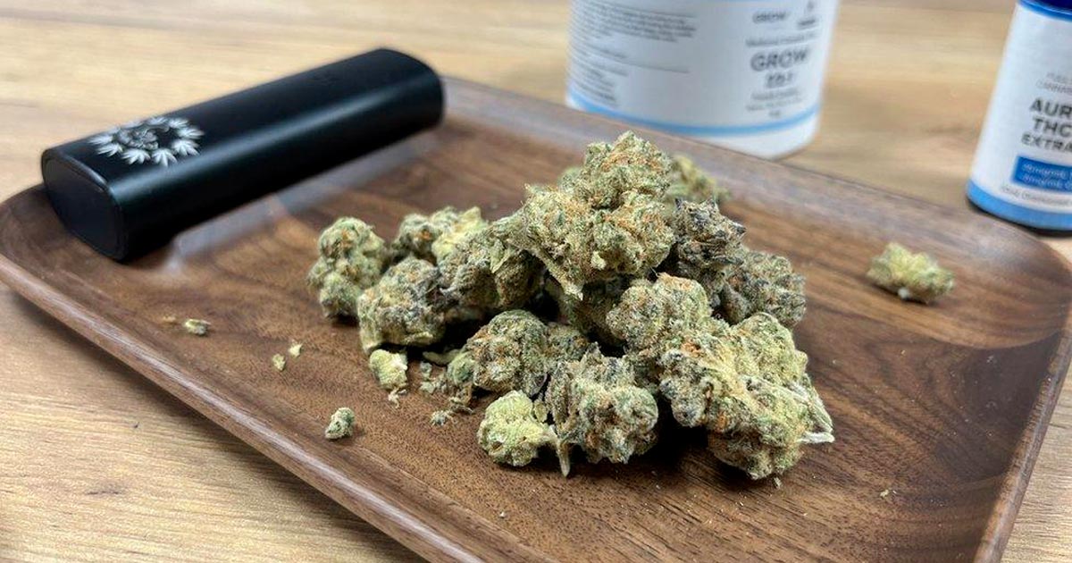 Programa de canábis medicinal fracassa na Irlanda