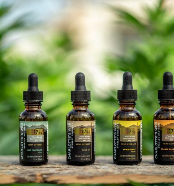 A Teia de Charlotte e a British American Tobacco