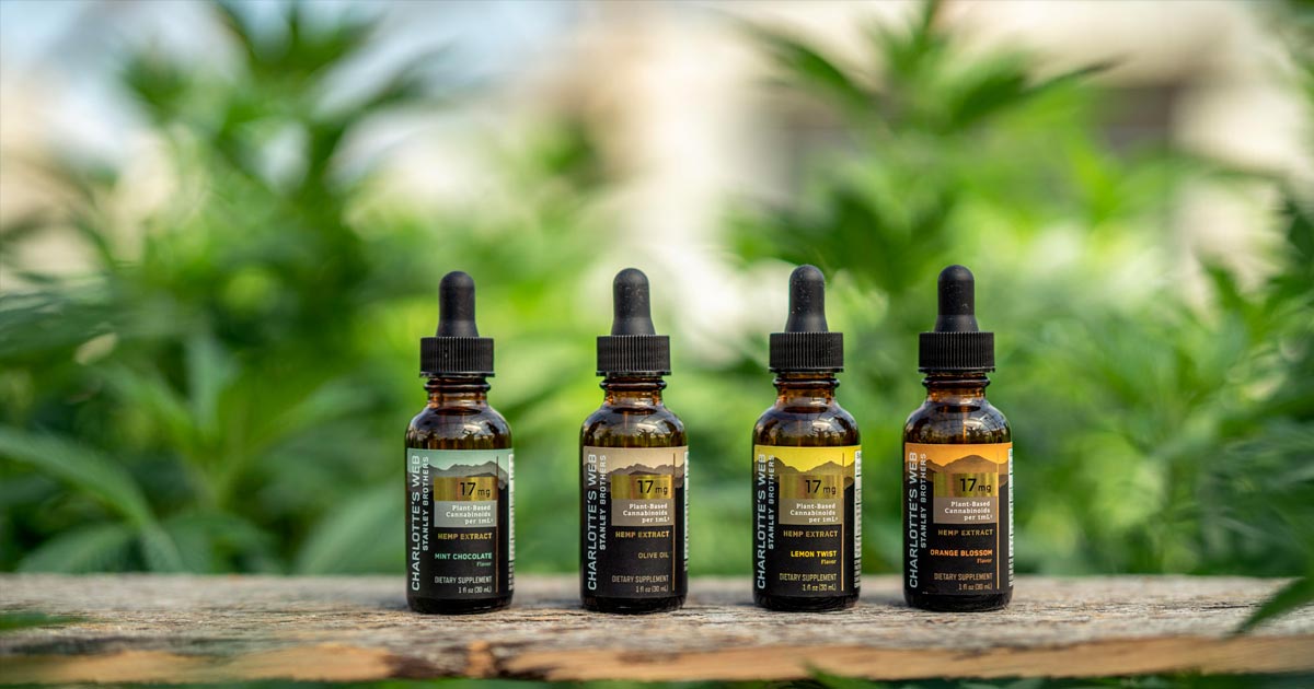 A Teia de Charlotte e a British American Tobacco