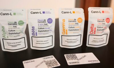 Experiência da legalização da canábis em Lausanne